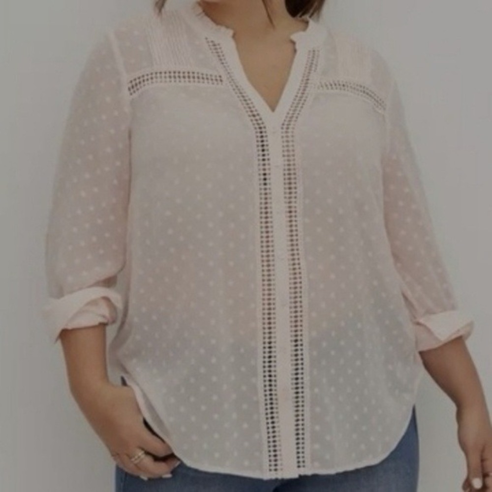 Torrid Light Pink Clip Dot Sheer Button Front Long Sleeve Blouse Cutwork Trim 5X